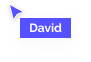 david mouse.png